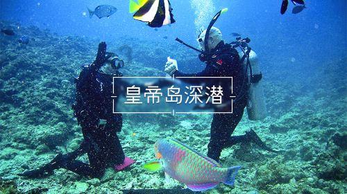 怎么才能教育出一个自信的孩子？游戏画面